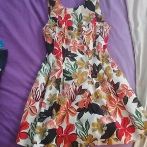 Zara dress